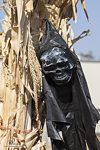 048_Spook_PH20_IMG_4271.jpg