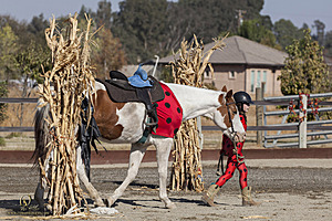191_Spook_PH20_IMG_3105.jpg