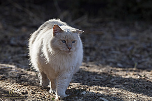 256_Spook_PH20_IMG_3528.jpg