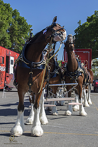 BudClydes_PH21_IMG_3881.jpg