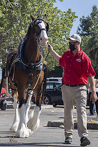 BudClydes_PH21_IMG_3887.jpg