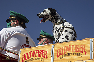 BudClydes_PH21_IMG_4067.jpg