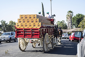 BudClydes_PH21_IMG_4109.jpg