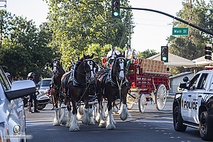 BudClydes_PH21_IMG_4595.jpg
