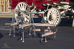 BudClydes_PH21_IMG_4827.jpg