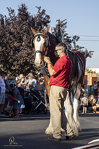 BudClydes_PH21_IMG_4866.jpg