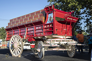 BudClydes_PH21_IMG_5155.jpg