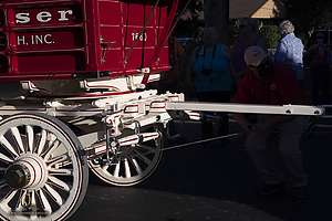 BudClydes_PH21_IMG_5206.jpg