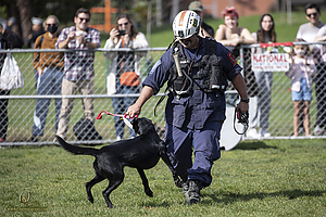 K9Heros_PH21_IMG_0823.jpg