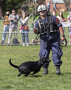 K9Heros_PH21_IMG_0836.jpg