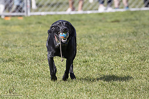 K9Heros_PH21_IMG_0874.jpg