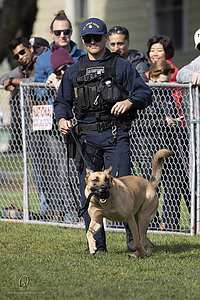 K9Heros_PH21_IMG_0934.jpg