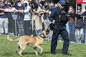 K9Heros_PH21_IMG_0941.jpg
