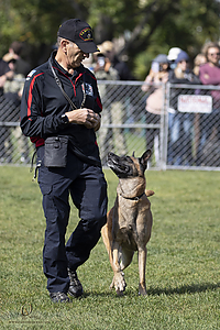 K9Heros_PH21_IMG_0988.jpg