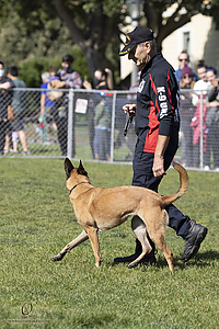 K9Heros_PH21_IMG_1009.jpg