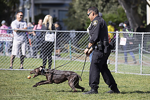 K9Heros_PH21_IMG_1030.jpg