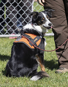 K9Heros_PH21_IMG_1074.jpg