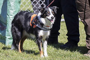 K9Heros_PH21_IMG_1082.jpg