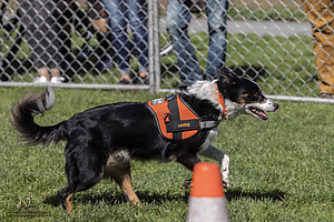 K9Heros_PH21_IMG_1115.jpg
