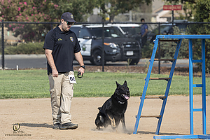K9T_PH21_IMG_0023.jpg