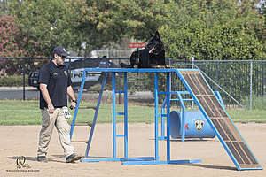 K9T_PH21_IMG_0035.jpg