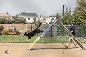 K9T_PH21_IMG_0125.jpg