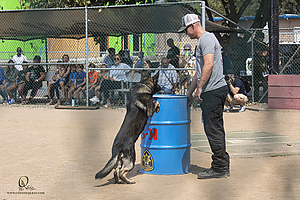 K9T_PH21_IMG_0177.jpg