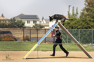K9T_PH21_IMG_0194.jpg