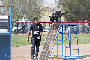 K9T_PH21_IMG_0208.jpg