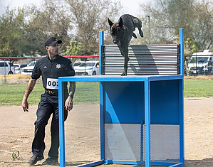 K9T_PH21_IMG_0216.jpg