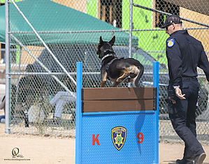 K9T_PH21_IMG_0240.jpg