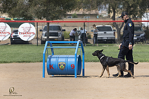 K9T_PH21_IMG_0245.jpg