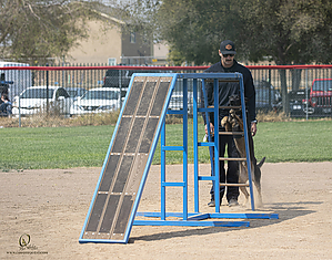 K9T_PH21_IMG_0251.jpg