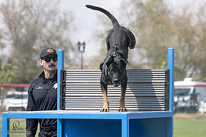 K9T_PH21_IMG_0270.jpg