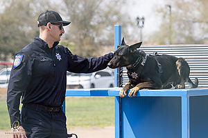 K9T_PH21_IMG_0274.jpg