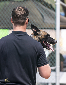 K9T_PH21_IMG_0323.jpg
