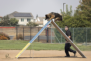K9T_PH21_IMG_0337.jpg