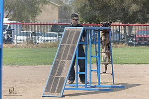K9T_PH21_IMG_0351.jpg