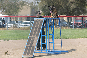 K9T_PH21_IMG_0356.jpg