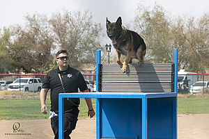 K9T_PH21_IMG_0364.jpg