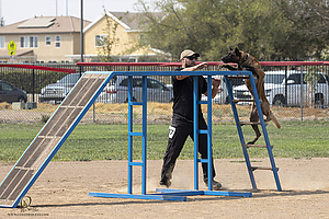 K9T_PH21_IMG_0406.jpg