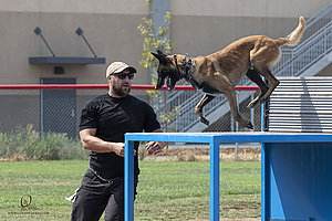 K9T_PH21_IMG_0417.jpg