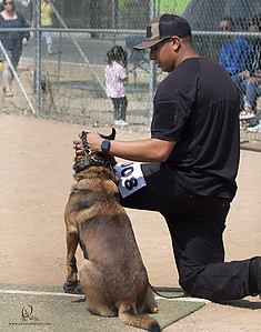 K9T_PH21_IMG_0428.jpg
