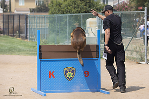 K9T_PH21_IMG_0436.jpg