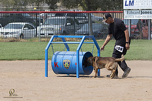 K9T_PH21_IMG_0442.jpg