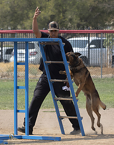 K9T_PH21_IMG_0445.jpg