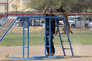 K9T_PH21_IMG_0447.jpg