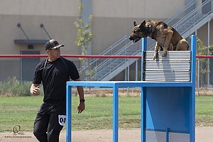 K9T_PH21_IMG_0464.jpg