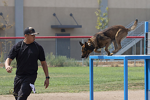 K9T_PH21_IMG_0465.jpg