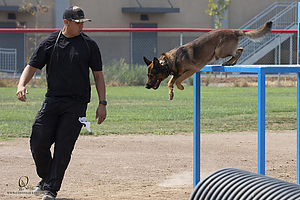 K9T_PH21_IMG_0466.jpg